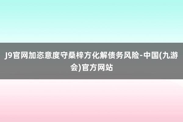 J9官网加恣意度守桑梓方化解债务风险-中国(九游会)官方网站