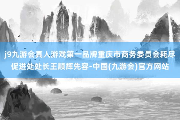 j9九游会真人游戏第一品牌重庆市商务委员会耗尽促进处处长王顺辉先容-中国(九游会)官方网站